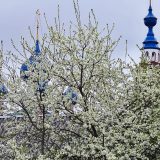 Речной круиз из Москвы. Теплоход Симфония севера (Дмитрий Фурманов), май 2025, 5